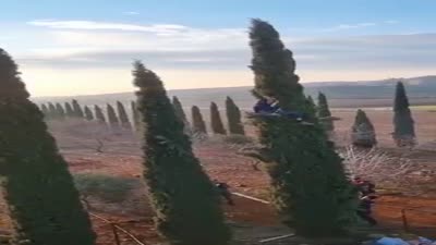 قوات الأمن الإسرائيلية تحاول إخلاء بؤرة تشيلو الإستيطانية والمستوطنون يتسلقون الأشجار