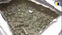 Ancient treasure trove unearthed in southwest China sheds light on mysterious kingdom