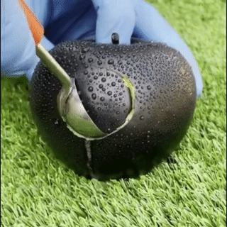 تفاحة الماس السوداء