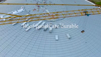 Steel structure dome roof