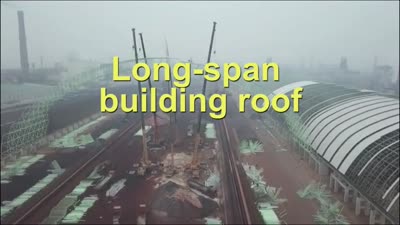 Large span steel shed