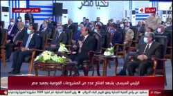 عبد الفتاح السيسي، يطلب من مقاولي الجسور العمل بأجر لاحق الدفع