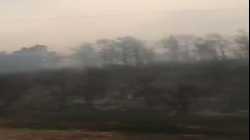 حرائق غابات ولاية خنشلة، الجزائر، يوليو 2021