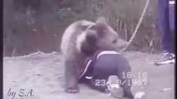 حبيب نور محمدوف يصارع دبا وهو في التاسعة من عمره