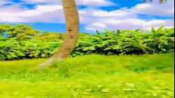 مدينة أفجوي بالصومال حيث يمر في وسطها نهر شبيلي