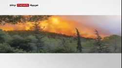 حرائق جبال القدس، 16 أغسطس 2021