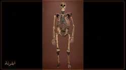 إنسان النياندرتال