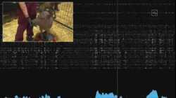 إيلون مسك يستعرض شريحة غرست في أنثى خنزير، من إنتاج شركة نيورالينك، أغسطس 2020