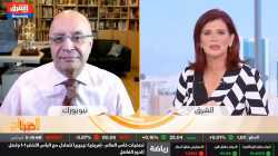 نايل الشافعي: الاكتفاء الذاتي محرم في السوق العالمي الحالي - قناة الشرق للأخبار