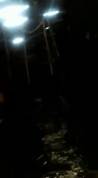 متظاهرون جنوب أفريقيا ينهبون المحال التي يملكها مهاجرون من نيجريا والصومال وزمبابوي، سبتمبر 2019