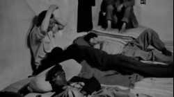 فيلم معركة الجزائر