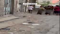 اشتعال النيران بميناء الحديدة باليمن بعد الغارات الإسرائيلية 20 يوليو 2024