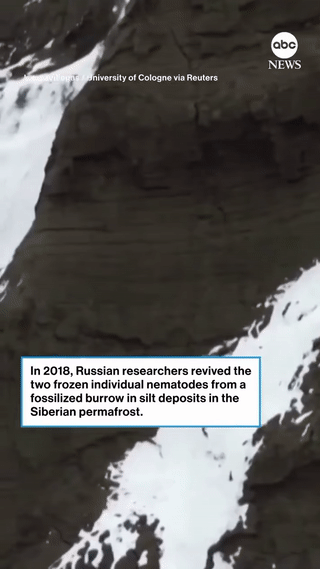 إعادة إحياء ديدان عمرها 46000 عام