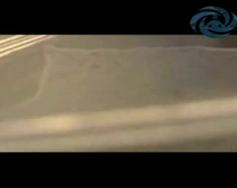 زراعة الأعضاء بالخلايا الجذعية