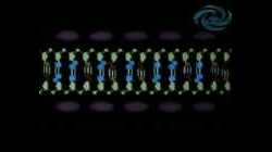 تضاعف الحمض النووي