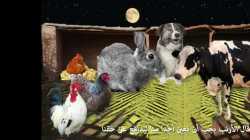 الفلاح الطيب - حكايات للأطفال قبل النوم