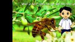 عاقبة الشغب _ حكايات للأطفال قبل النوم