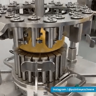 hydraulic press in cheese processing