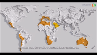 حديقة الملك سلمان